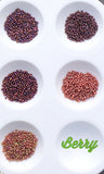 Seedlings - 15/0 Palettes